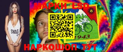 крисы Будённовск