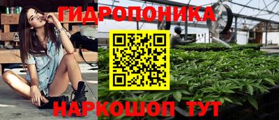 крисы Будённовск