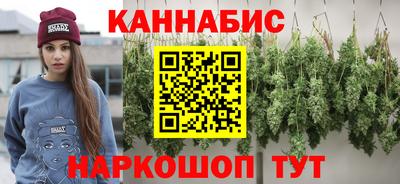 крисы Будённовск